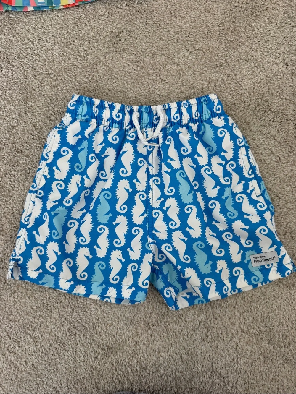 Flap Happy Toddler Swim Trunks - Set of 2-Seahorse Blue & Surfboard Teal size 4